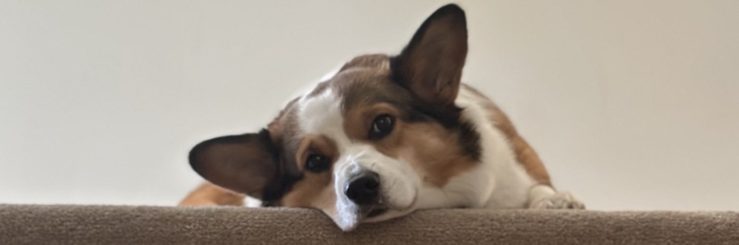 Moyerbot's profile banner image
