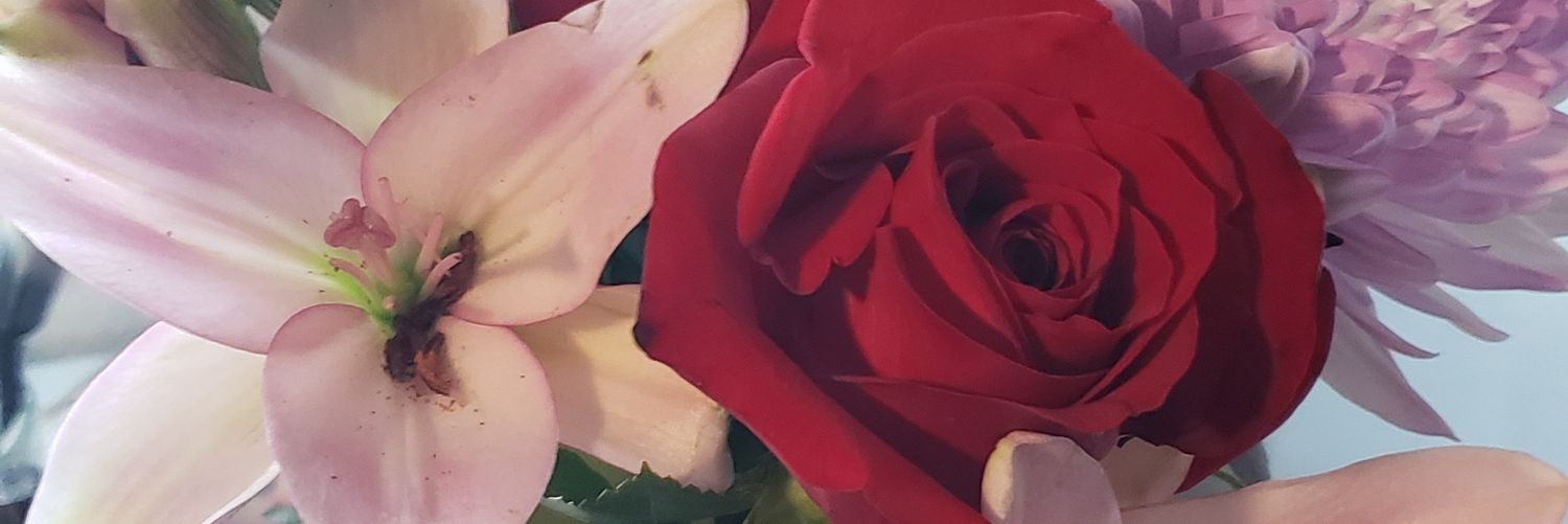 vu_amanda1's profile banner image