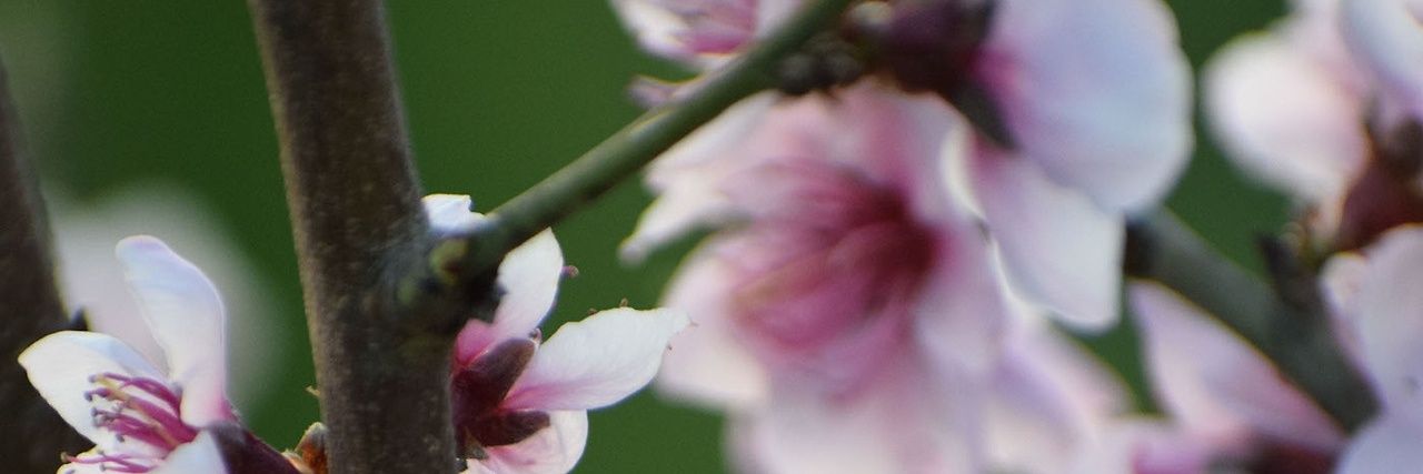 agechou's profile banner image