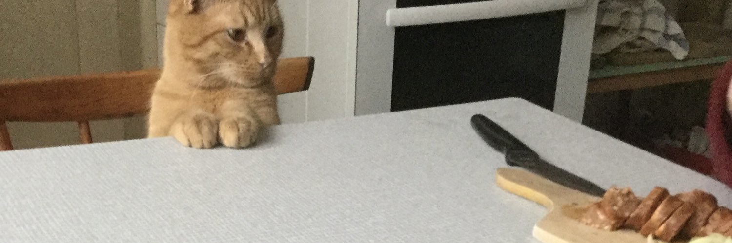 spravodaj  banner
