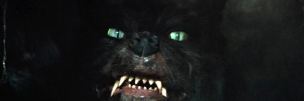 DiamondDunn99 Profile Banner