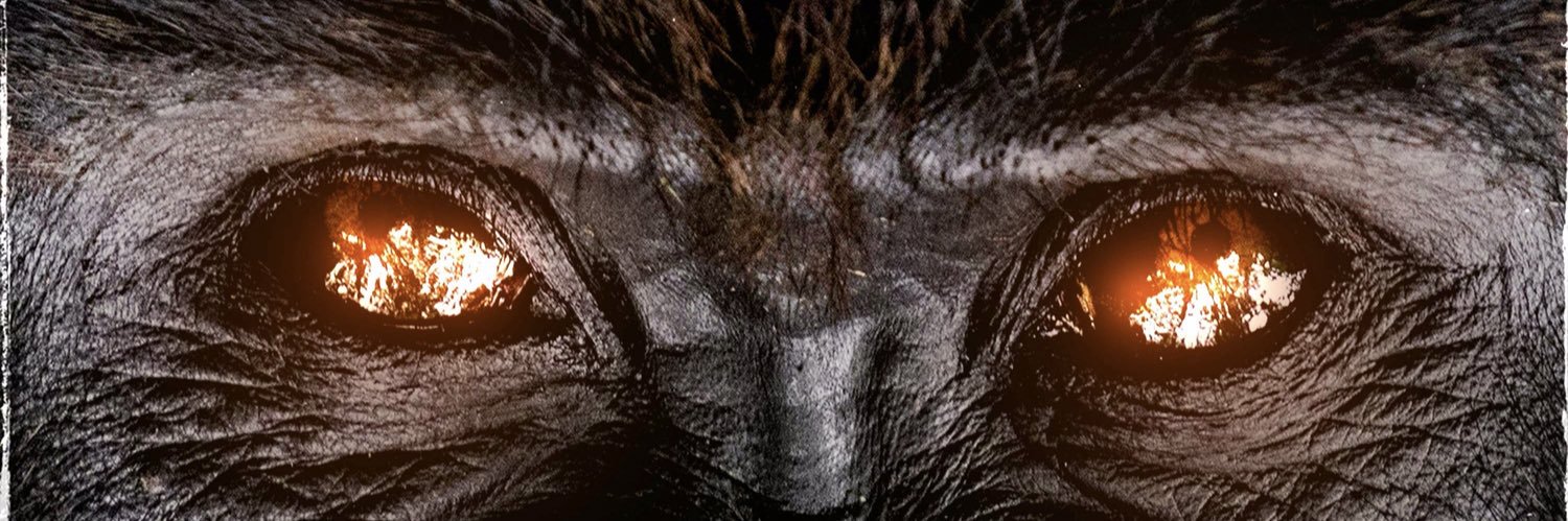 Beat_Monkey's profile banner image