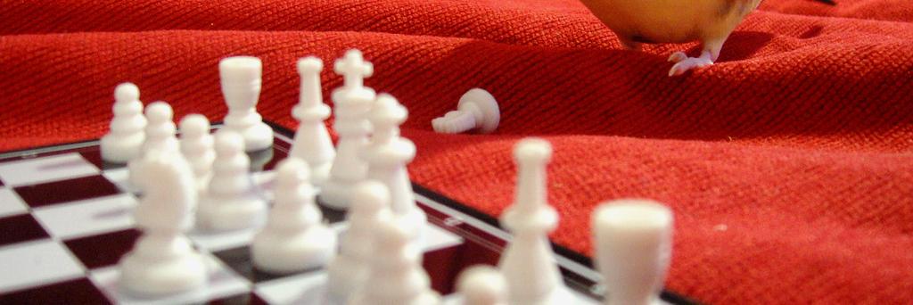 jorge carlos fava banner