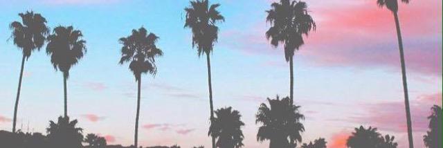 piercedandsassy's profile banner image