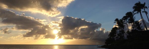 adb1146 Profile Banner