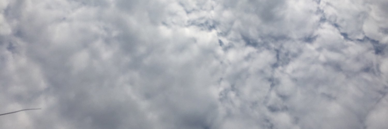_erleichda__'s profile banner image