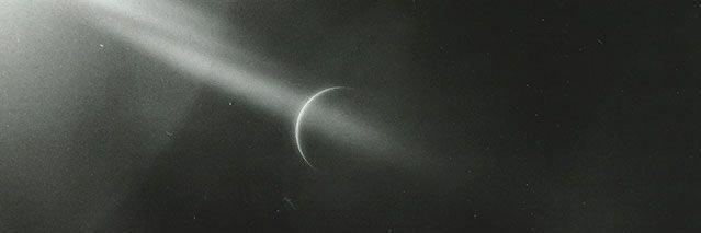 Starling banner