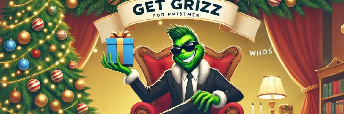 grinchstolerizz's profile banner image