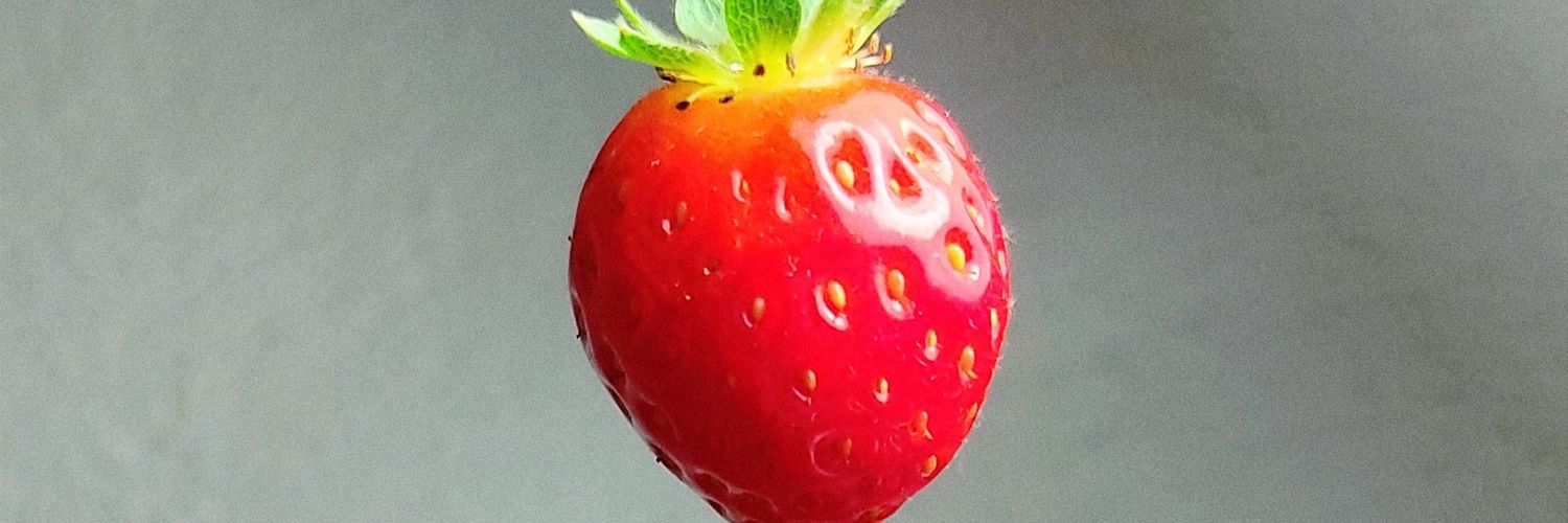 mishelchamalee's profile banner image