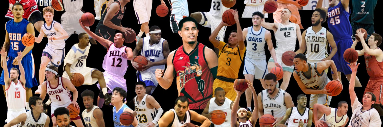 Skyline Basketball banner