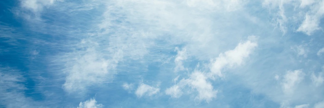 Miriam Arond banner