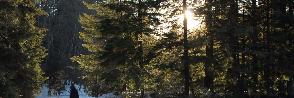 InterFitSociety's profile banner image