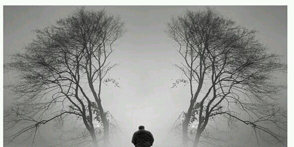 Hani Gashlan | هاني قشلان banner