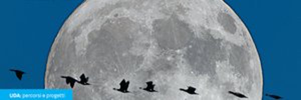 valienpy Profile Banner