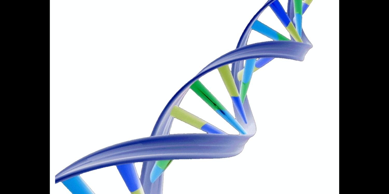 BioChemQP's profile banner image