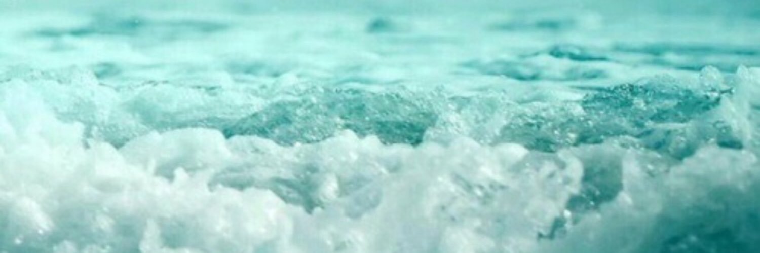 maluufontes's profile banner image