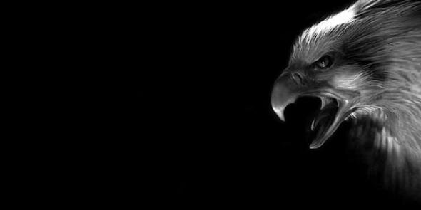 cnberkunsl's profile banner image
