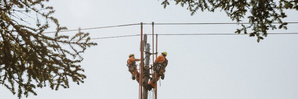 NFPower Profile Banner