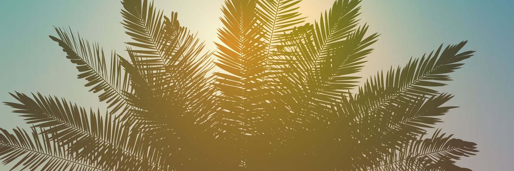 GlobalDove's profile banner image