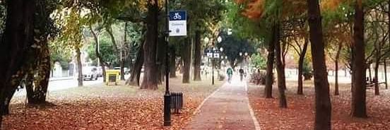 S̶I̶L̶🩷 banner