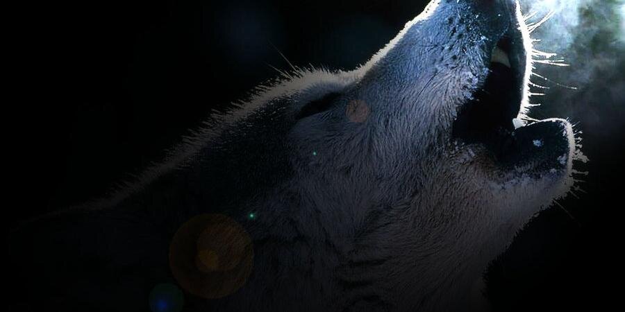 kuuleniits's profile banner image