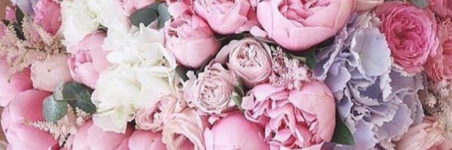 strawbsblonde's profile banner image