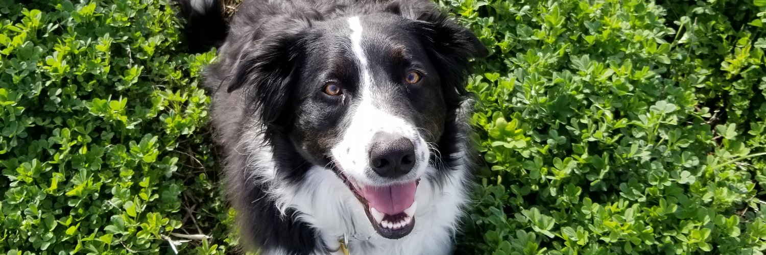 Primary Ranch Hand & Laborer banner
