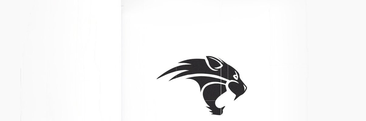 Elliot Silverstein banner
