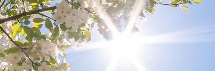çiğdem bekar banner