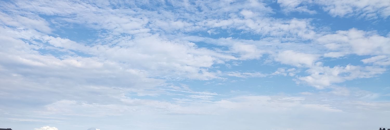 小五 banner