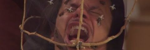 stephen_pale's profile banner image