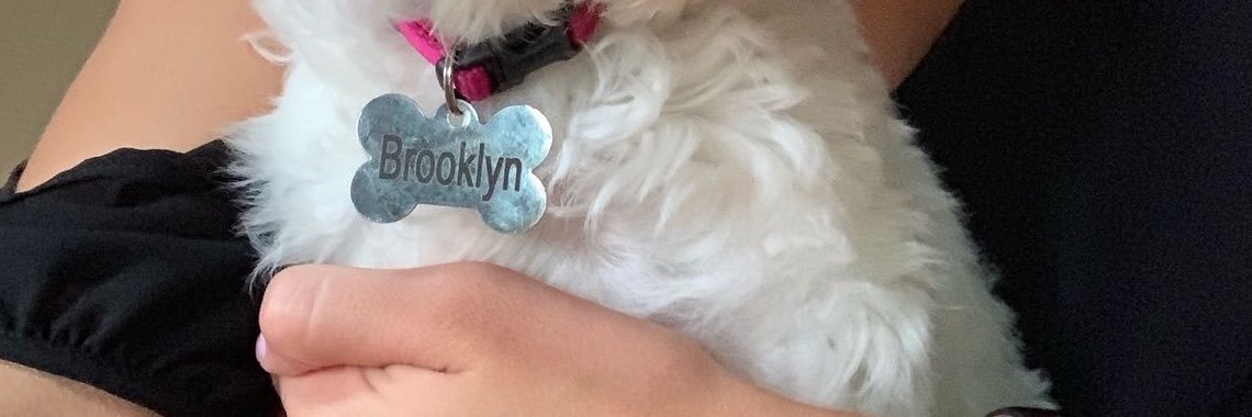 shyyne01's profile banner image
