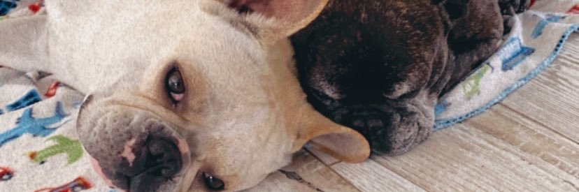 rena_renny's profile banner image