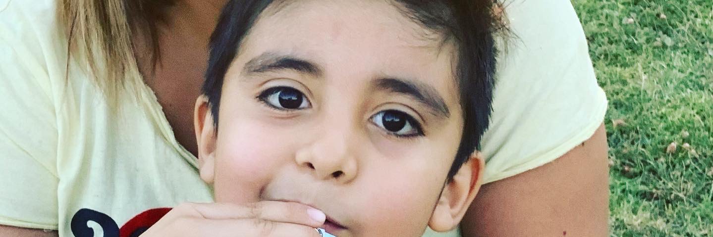 paula pulgar nova banner