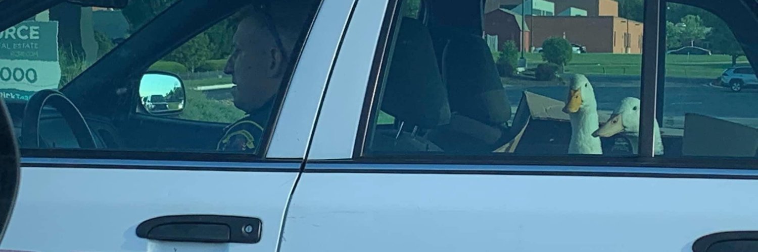 onlywandrew's profile banner image
