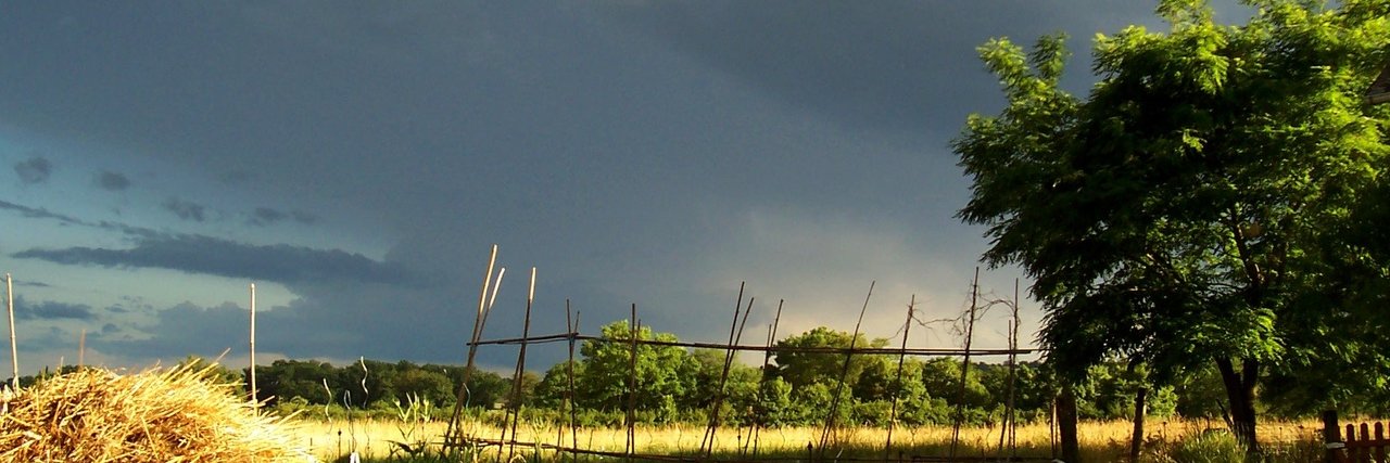 FRIC Christine banner