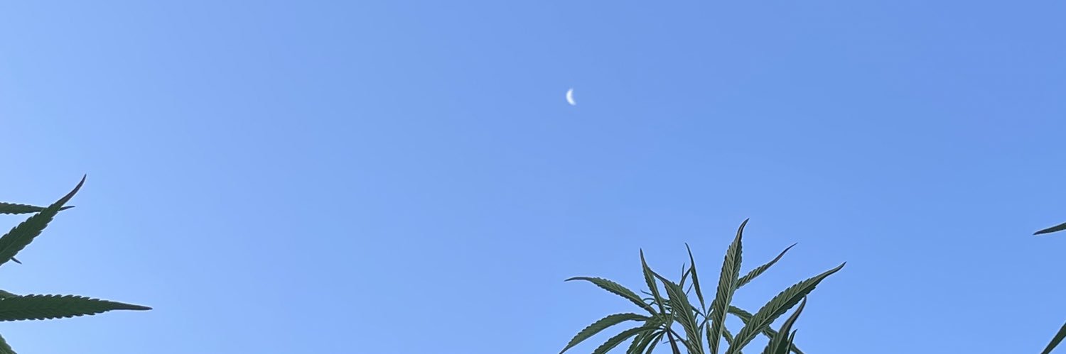 FlorFernandez30's profile banner image