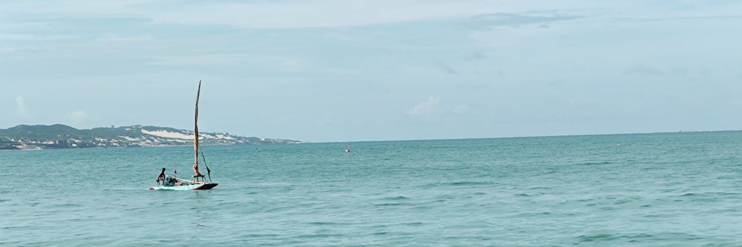 ErikaLMedeiros's profile banner image