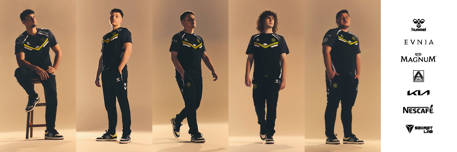 Team Vitality League's banner