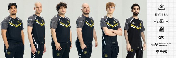 TeamVitalityVAL Profile Banner