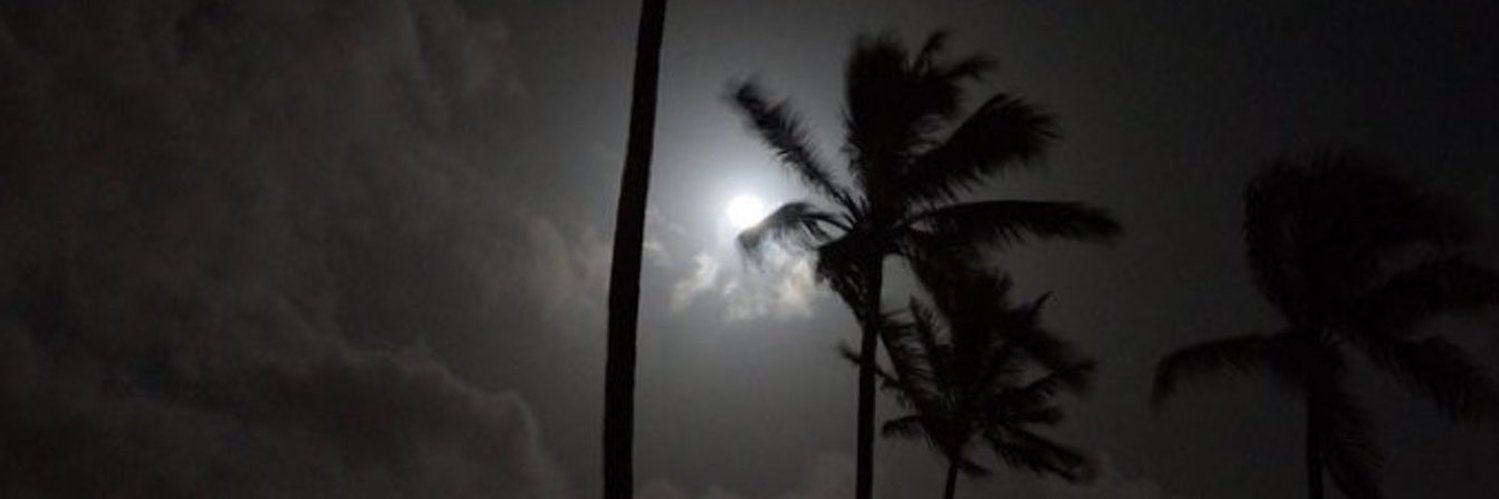 بـنـدر banner