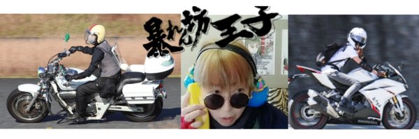 saisaida2002 Profile Banner