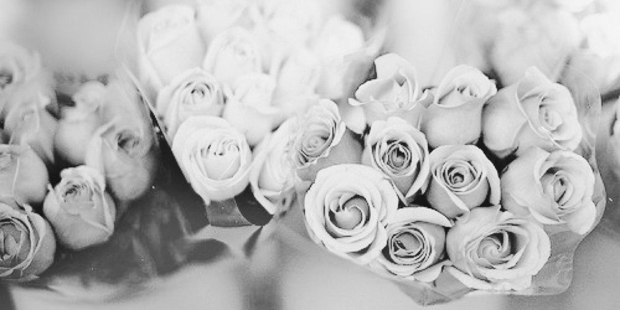 nursiah_shera's profile banner image