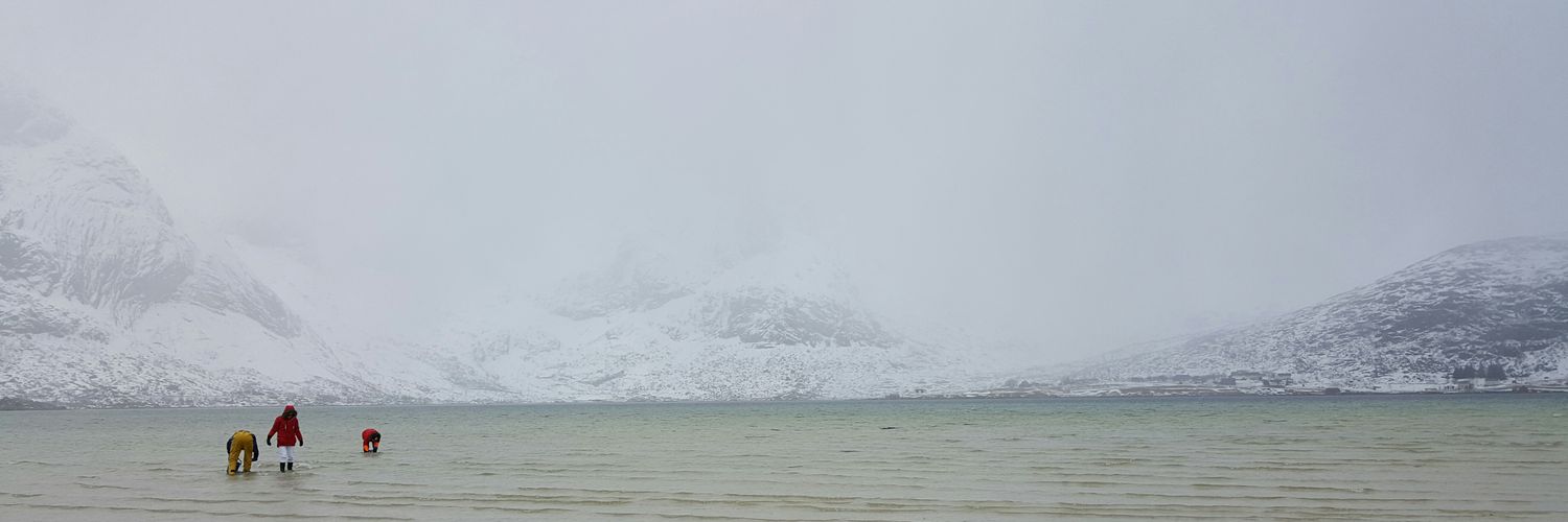 SarahLahert's profile banner image