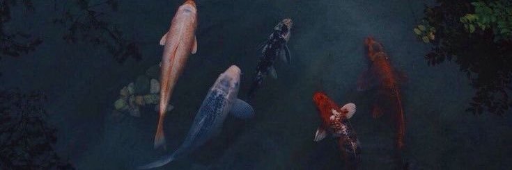 divyageddam's profile banner image