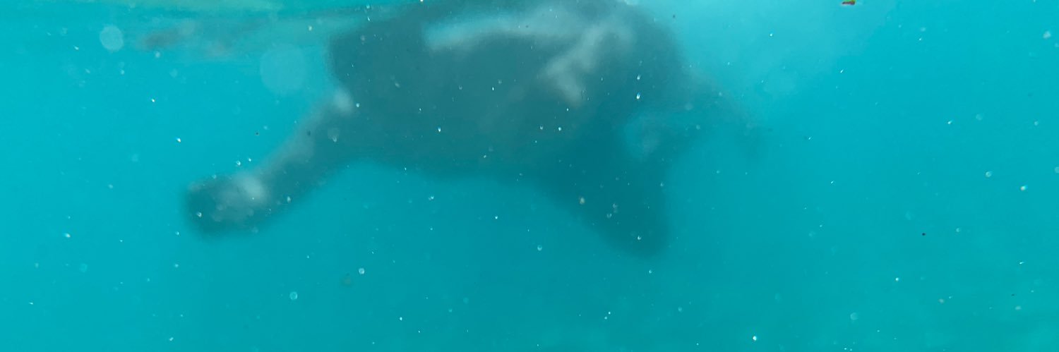 harvey0_'s profile banner image