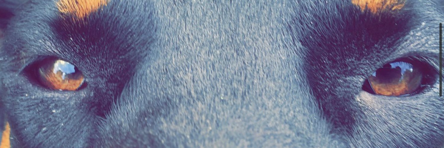 bigbertooo's profile banner image