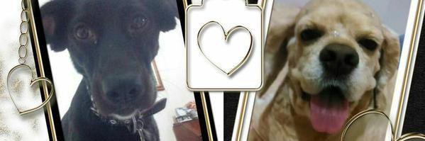 VisaoParticular's profile banner image