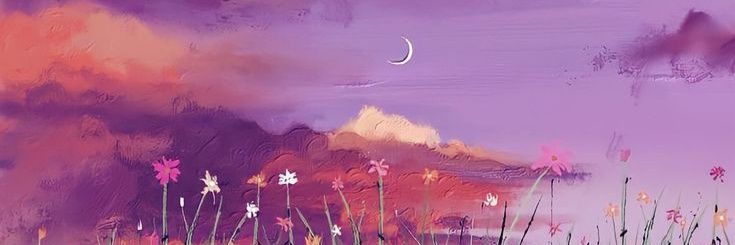 crissmishell's profile banner image