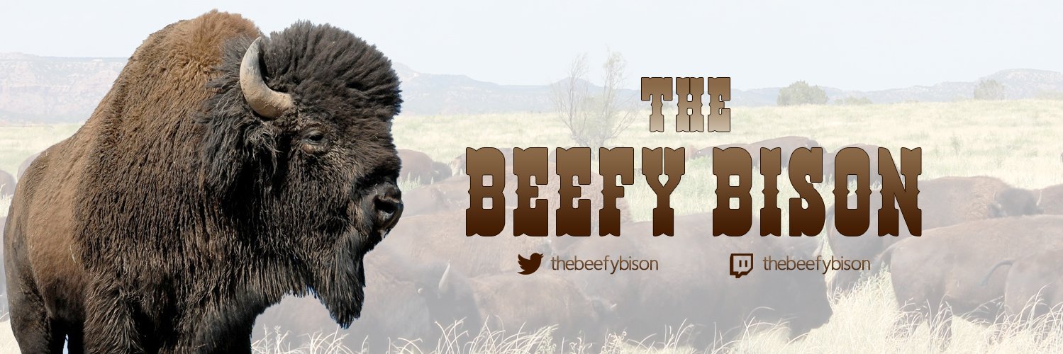 TheBeefyBison's profile banner image